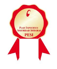 Imagen de PESI PLAN ESPECIFICO SEGURIDAD INTEGRAL