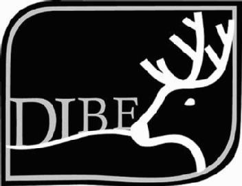 Imagen de DIBE
