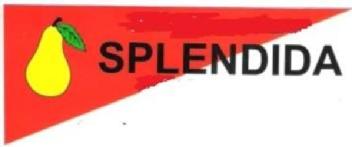 Imagen de SPLENDIDA