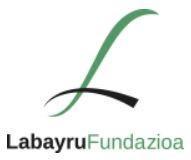 Imagen de LABAYRU FUNDAZIOA