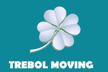 Imagen de TREBOL MOVING