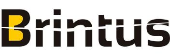 Imagen de BRINTUS