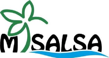 Imagen de MISALSA