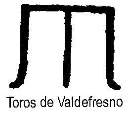 Imagen de TOROS DE VALDEFRESNO
