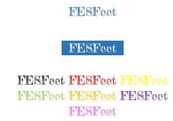 Imagen de FESFEET