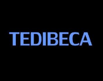 Imagen de TEDIBECA