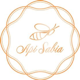 Imagen de API SABIA