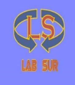 Imagen de LS LAB SUR