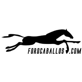 Imagen de FOROCABALLOS.COM