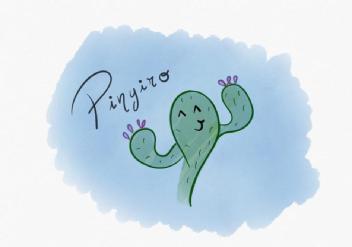 Imagen de PINYIRO