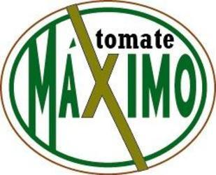 Imagen de TOMATE MÁXIMO