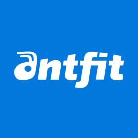 Imagen de antfit