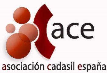Imagen de ACE ASOCIACIÓN CADASIL ESPAÑA