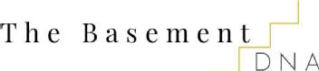 Imagen de The Basement DNA