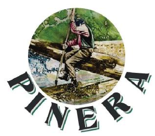 Imagen de PINERA