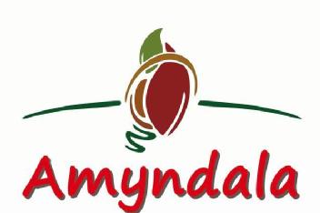 Imagen de AMYNDALA