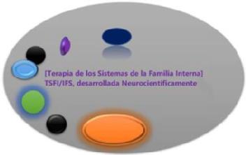 Imagen de TERAPIA DE LOS SISTEMAS DE LA FAMILIA INTERNA TSFI/IFS DESARROLLADA NEUROCIENTIFICAMENTE