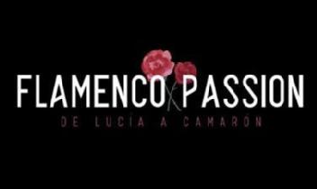 Imagen de FLAMENCO PASSION DE LUCIA A CAMARON