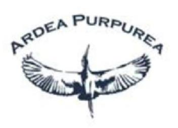 Imagen de ARDEA PURPUREA