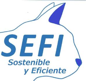 Imagen de SEFI Sostenible y Eficiente