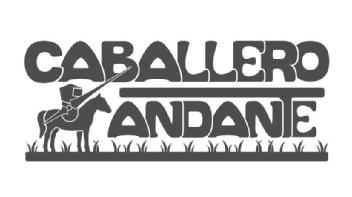 Imagen de CABALLERO ANDANTE