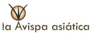 Imagen de LA AVISPA ASIÁTICA
