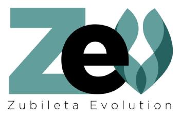 Imagen de ZEV; ZUBILETA EVOLUTION