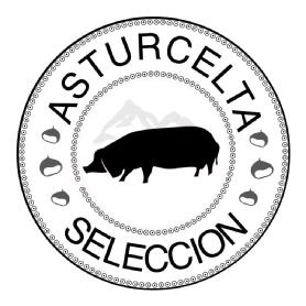 Imagen de ASTURCELTA SELECCIÓN