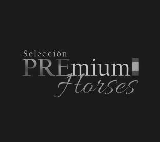 Imagen de SELECCION PREMIUM HORSES