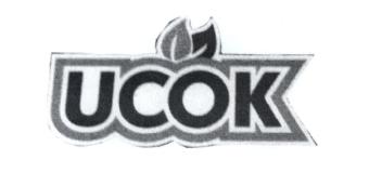 Imagen de UCOK