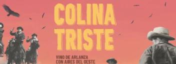 Imagen de COLINA TRISTE, VINO DE ARLANZA CON AIRES DEL OESTE