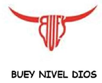 Imagen de BUEY NIVEL DIOS