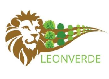 Imagen de LEONVERDE