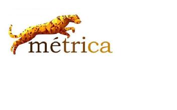 Imagen de métrica
