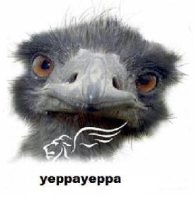 Imagen de YEPPAYEPPA