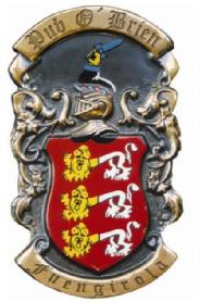 Imagen de PUB O\'BRÍEN FUENGÍROLA