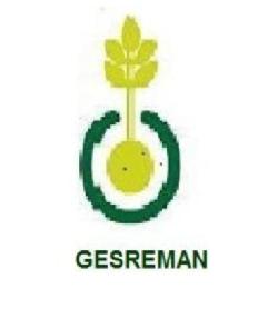 Imagen de GESREMAN