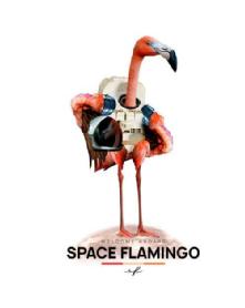Imagen de WELCOME ABOARD SPACE FLAMINGO