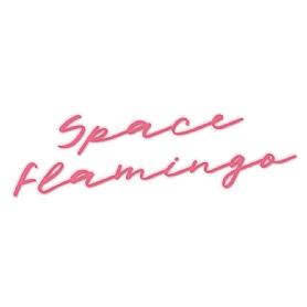 Imagen de SPACE FLAMINGO