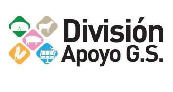 Imagen de DIVISIÓN APOYO G.S