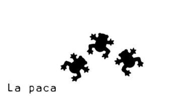 Imagen de la paca