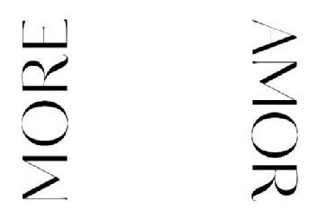 Imagen de MORE AMOR