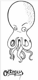 Imagen de OCTOPUS 7