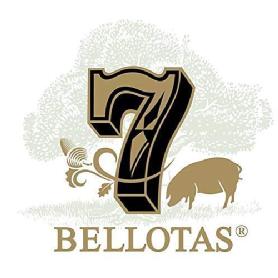 Imagen de 7 BELLOTAS