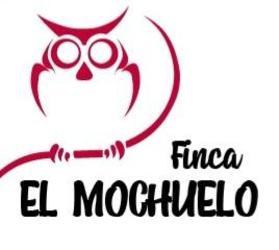 Imagen de FINCA EL MOCHUELO