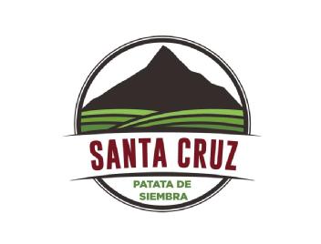 Imagen de SANTA CRUZ PATATA DE SIEMBRA