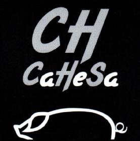 Imagen de CH CAHESA