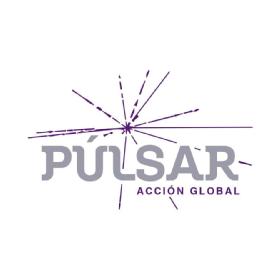 Imagen de PÚLSAR ACCIÓN GLOBAL