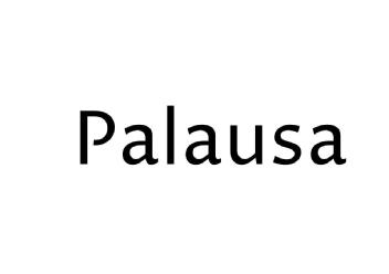 Imagen de PALAUSA