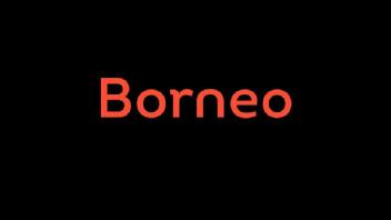 Imagen de Borneo